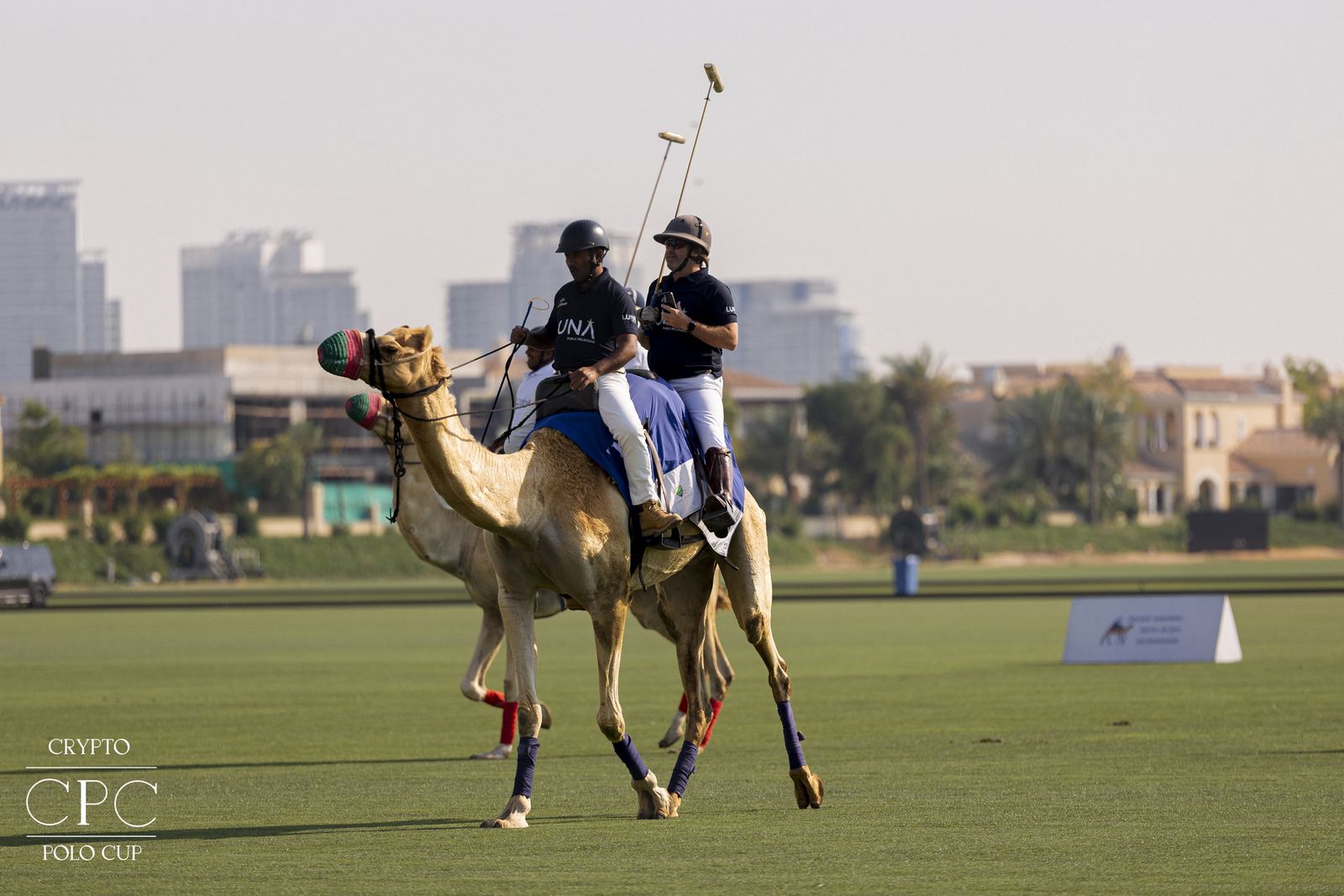 Camel polo against the Dubai skyline, Crypto Polo Cup 2024